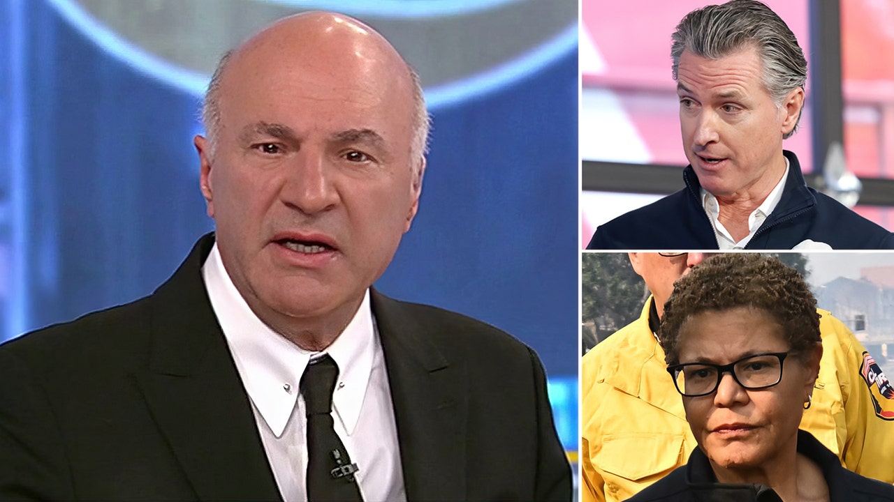 O'Leary on wildfire aid: 'Not a penny' for Gavin Newsom and Karen Bass until they are removed from office